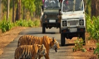 Jim Corbett Holiday Package – Deluxe