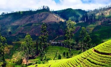 North East Holiday Package